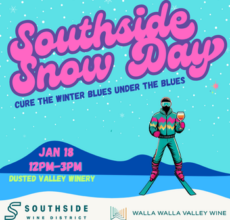 southside snow day